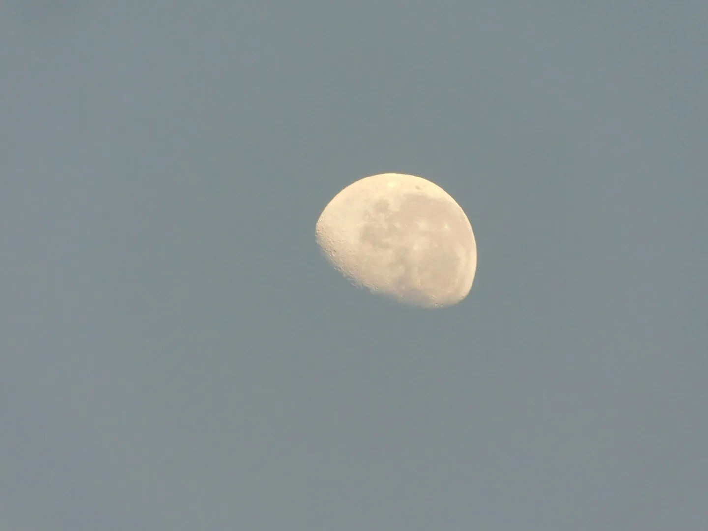 Half Moon in the Morning Daylight